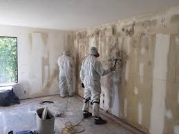 Best Asbestos and Lead Testing During Mold Inspection in Heyville, AL